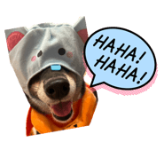 857682878