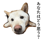 857682961