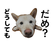 857682962