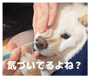 857682964