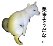857682966