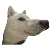 857682968