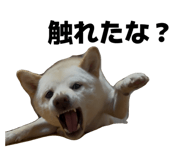 857682969
