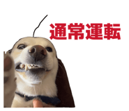 857682970