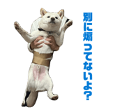 857682974