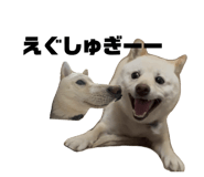 857682975