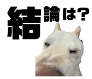 857682980