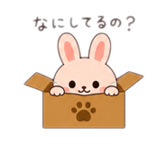 857683054