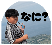 857683677