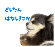857683758