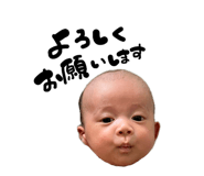 857683797