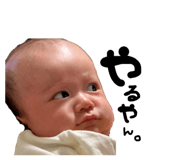 857683805