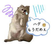857683964
