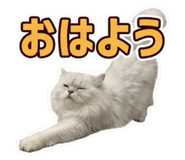 857684001