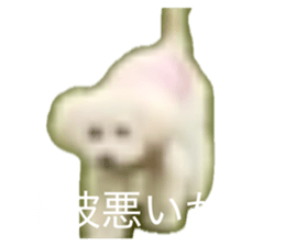 857684073