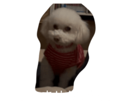 857684082