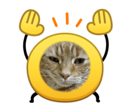 857684711