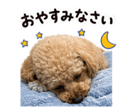 857684914