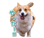 857684949