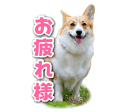 857684950