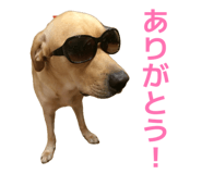 857685674