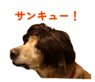 857685675