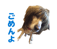 857685676