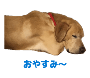 857685682