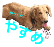 857685691