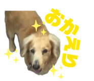 857685693