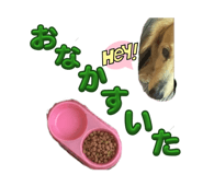 857685697