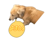 857685699