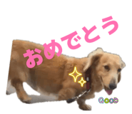 857685701