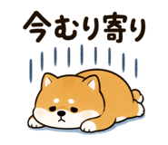 857685801
