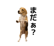 857685947