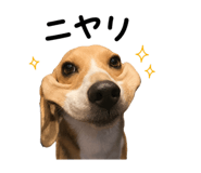 857685955