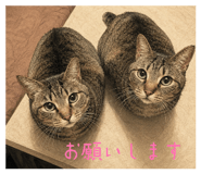 857686208