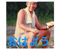 857686527