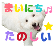 857686569