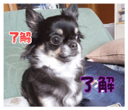 857687050