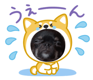 857687054
