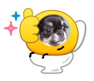 857687057