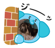 857687062