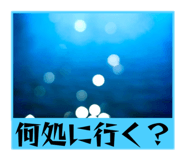 857687329