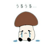 857688790