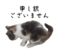 857688971