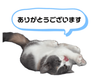 857688975
