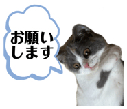 857688978
