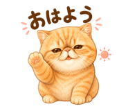 857690068
