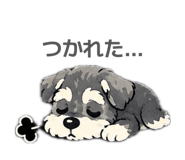 857690485